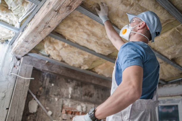  Juno Ridge, FL Insulation Contractor Pros