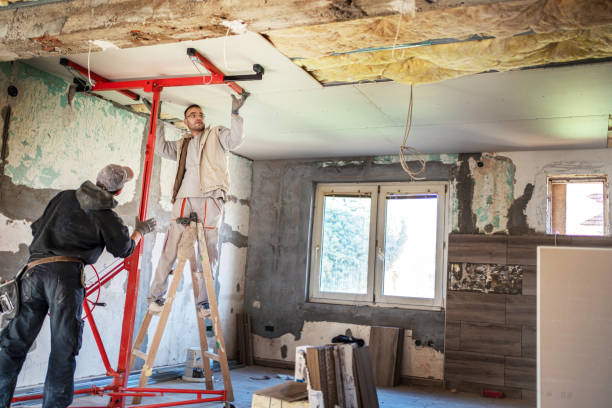 Best Types of Insulation in Juno Ridge, FL